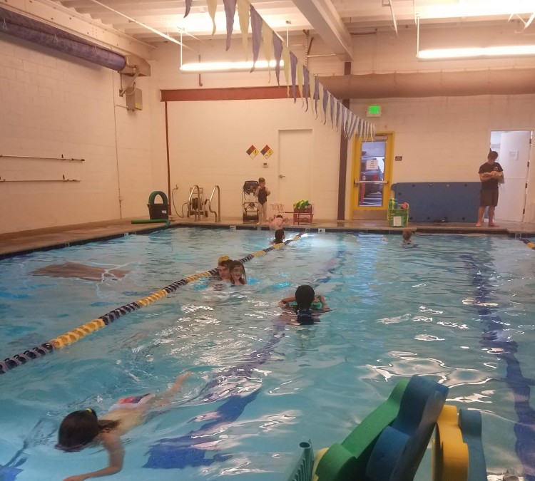 Splash Swim School (Walnut&nbspCreek,&nbspCA)
